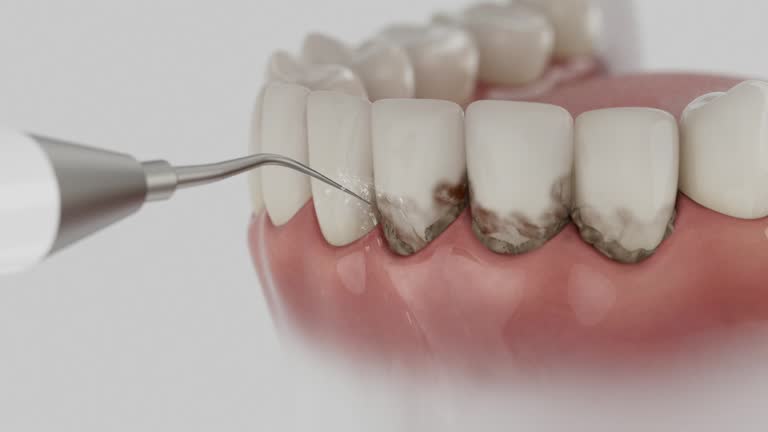 Reliable Dental contractor in Gluckstadt, MS by Dentist Open Now